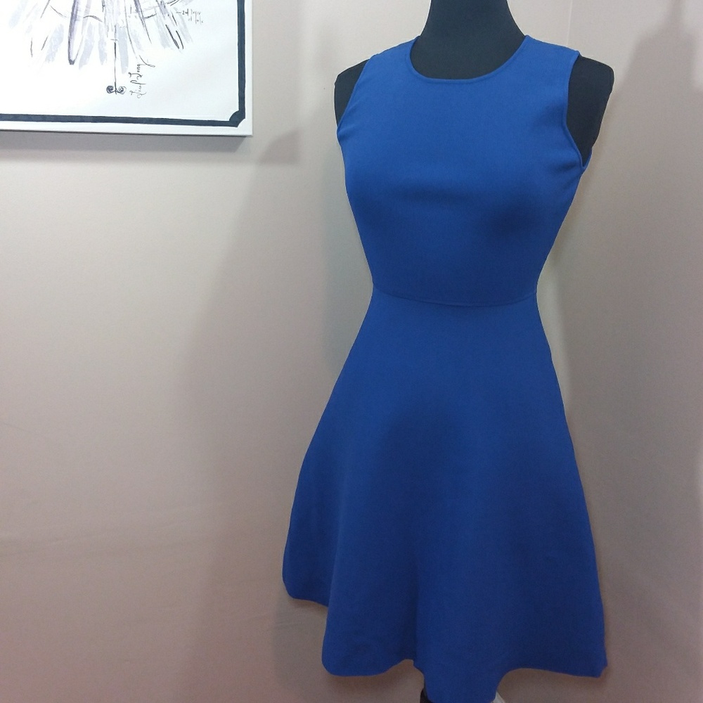 John + Jenn Royal Blue Cutout back Cocktail dress
